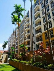 Sims Green (D14), Apartment #496014461